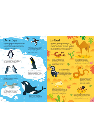 Librairie L’Intranquille Plazza