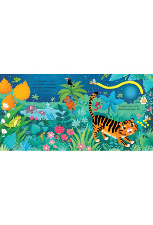 Les bruits de la jungle - Livre sonore