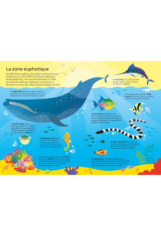 Les océans - Coffret livre et puzzle