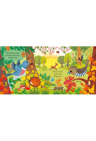 La forêt - Mon petit coffret Livre et 3 puzzles