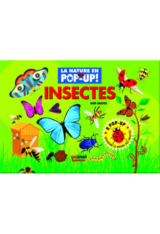 La nature en pop-up - Insectes