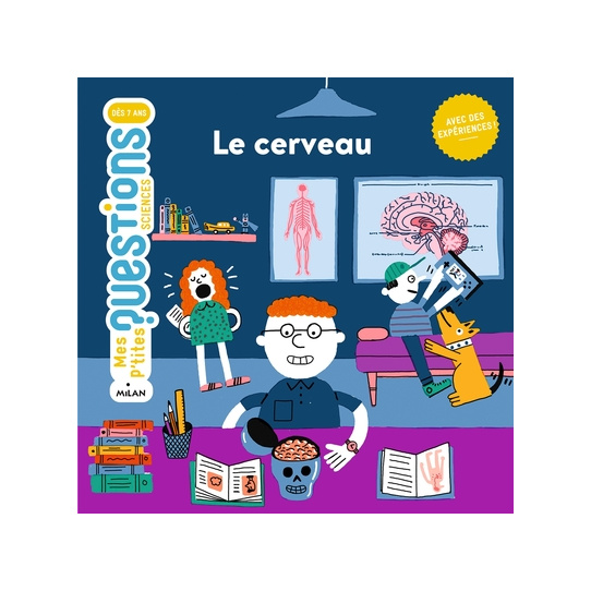 Le cerveau