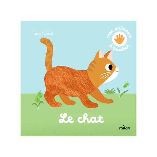 Le chat