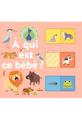 À qui est ce bébé ?