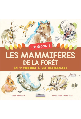 Je découvre les mammifères de la forêt et j'apprends à les reconnaître