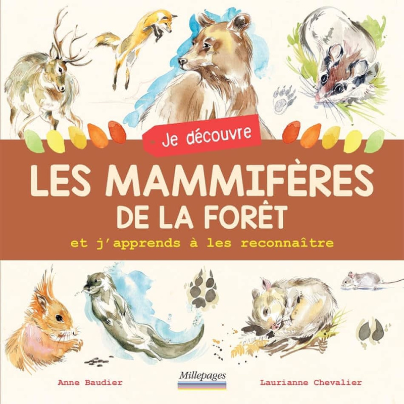 Je découvre les mammifères de la forêt et j'apprends à les reconnaître Je découvre les mammifères de la forêt et j'apprends à les reconnaître
