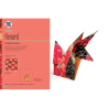 Origami d'exception