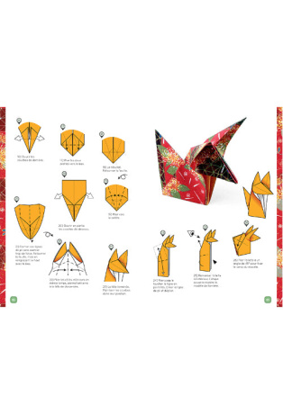 Origami d'exception