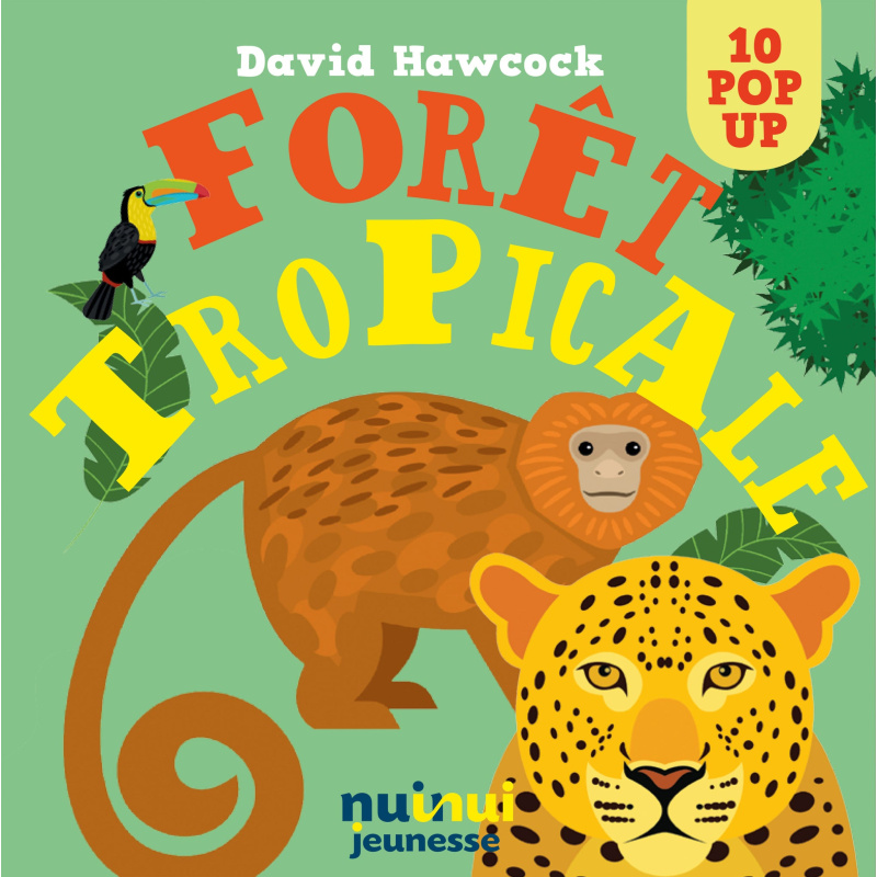 Forêt tropicale - Pop-up