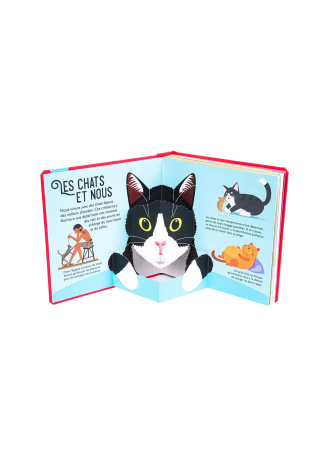 Chats - Pop-up
