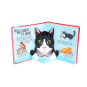 Chats - Pop-up