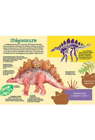 Dinosaures - Avec 1 livre et 4 modèles