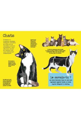 Chats - Avec 1 livre et 8 modèles