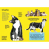 Chats - Avec 1 livre et 8 modèles