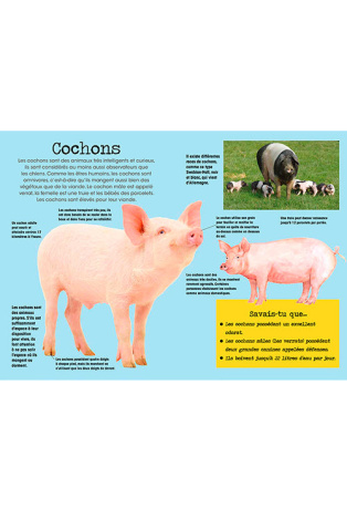 Construis en 3D - Les animaux de la ferme