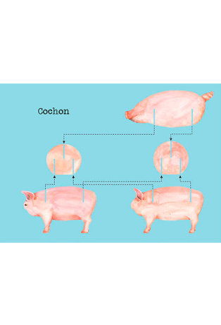 Construis en 3D - Les animaux de la ferme
