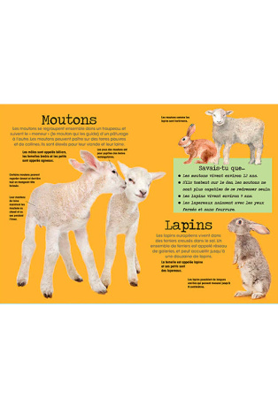 Construis en 3D - Les animaux de la ferme