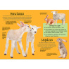 Construis en 3D - Les animaux de la ferme