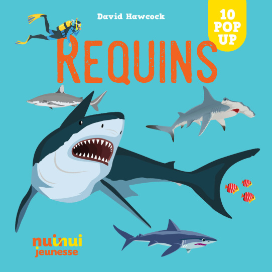 Requins - Pop-up