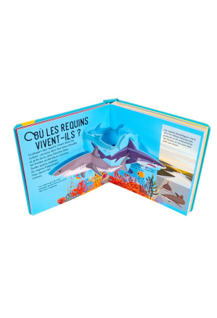 Requins - Pop-up