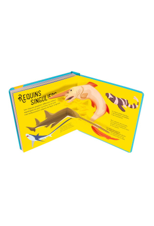 Requins - Pop-up