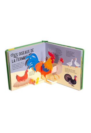 Ferme - Pop-up