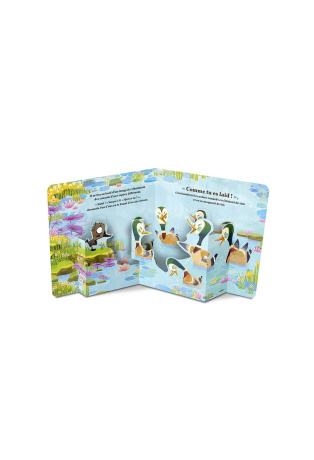 Le vilain petit canard - Pop-up