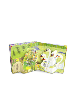 Le vilain petit canard - Pop-up