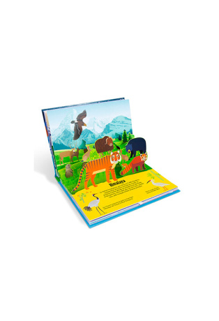 Montagne - Pop-up