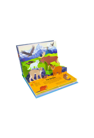 Montagne - Pop-up