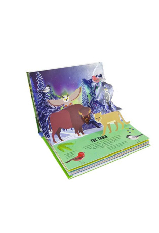 Forêt - Pop-up