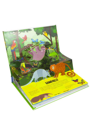 Forêt - Pop-up
