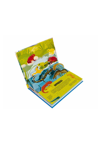 Dinosaures vivants - Pop-up