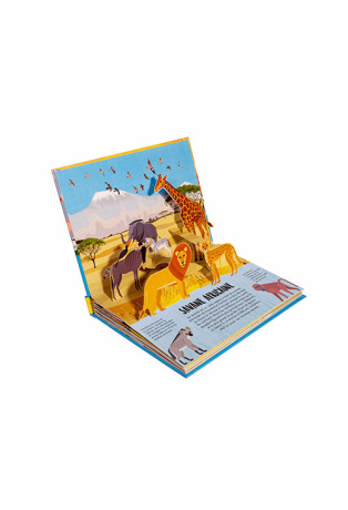 Savane - Pop-up