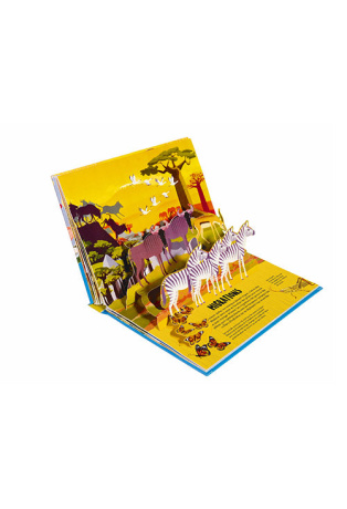 Savane - Pop-up
