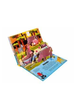Savane - Pop-up