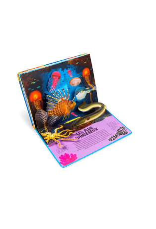 Poissons - Pop-up