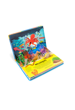 Poissons - Pop-up