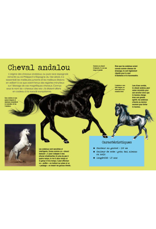 Chevaux - Avec 1 livre et 10 modèles