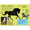 Chevaux - Avec 1 livre et 10 modèles