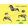 Chevaux - Avec 1 livre et 10 modèles
