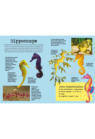 Poissons - Avec 1 livre et 8 modèles