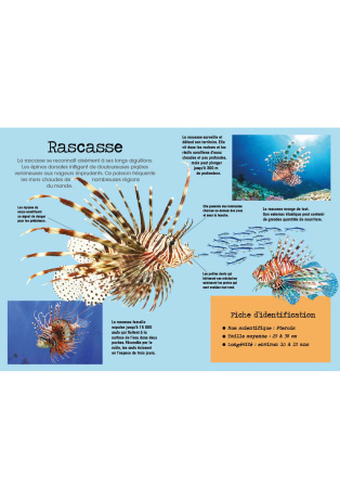 Poissons - Avec 1 livre et 8 modèles
