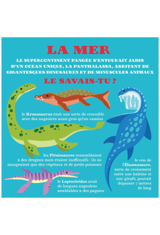 Dinosaures - 4 décors en 3D pour s'amuser !