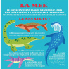Dinosaures - 4 décors en 3D pour s'amuser !
