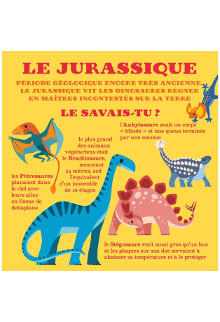 Dinosaures - 4 décors en 3D pour s'amuser !