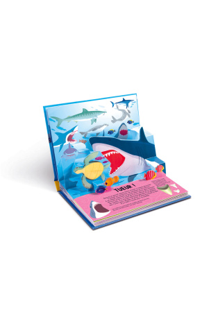 Requins - Pop-up
