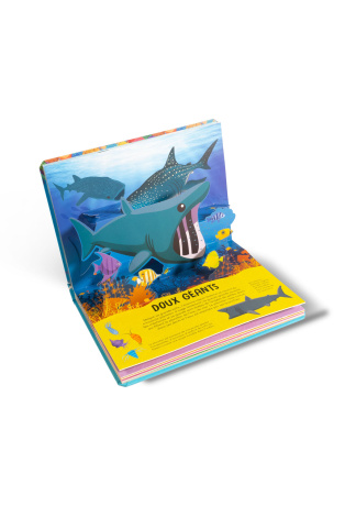 Requins - Pop-up