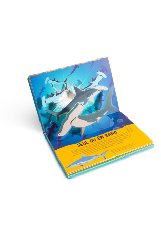 Requins - Pop-up