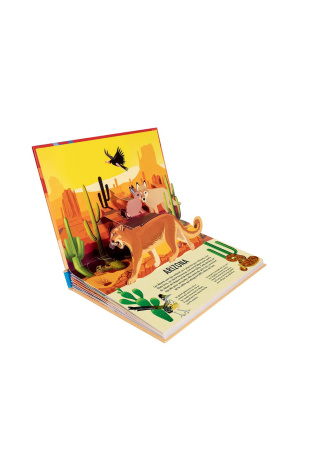 Animaux sauvages - Pop-up